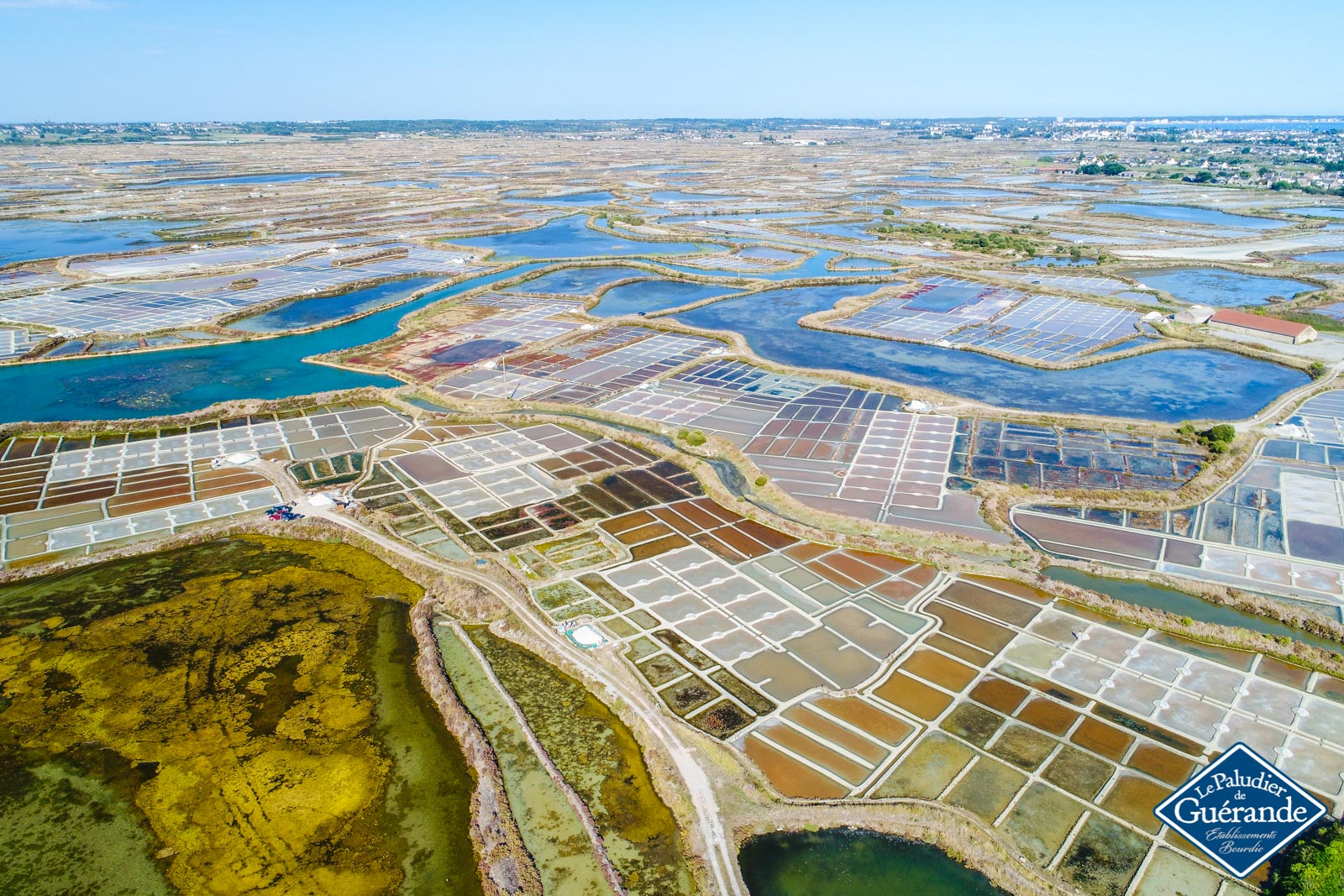 étendue des marais salants