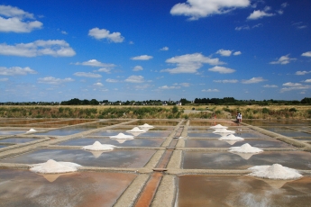 marais-salants marais-salants