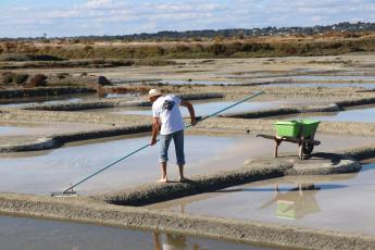 Le fonctionnement d'un Marais salant à Guérande