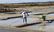 Le fonctionnement d'un Marais salant à Guérande